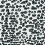 AMACO Crawls - CR-1 - Black - 1  pint
